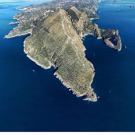 Green Apartment In Sorrento Coast Massa Lubrense Zewnętrze zdjęcie