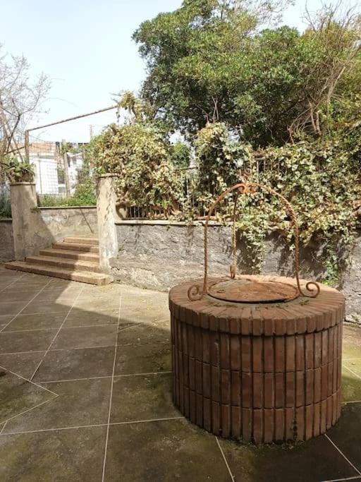 Green Apartment In Sorrento Coast Massa Lubrense Zewnętrze zdjęcie