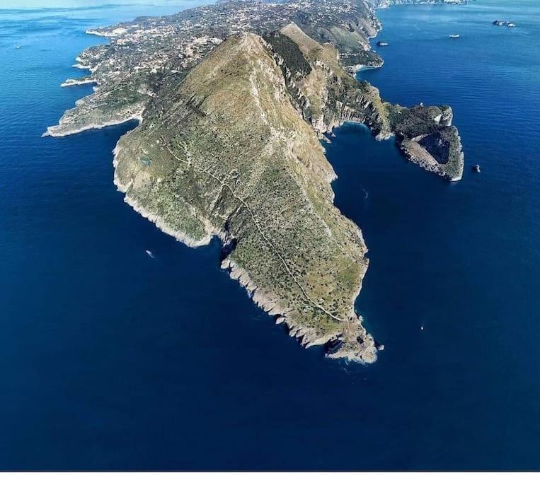 Green Apartment In Sorrento Coast Massa Lubrense Zewnętrze zdjęcie