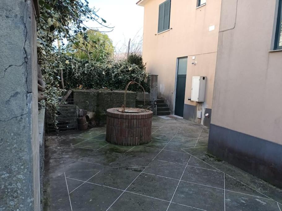 Green Apartment In Sorrento Coast Massa Lubrense Zewnętrze zdjęcie